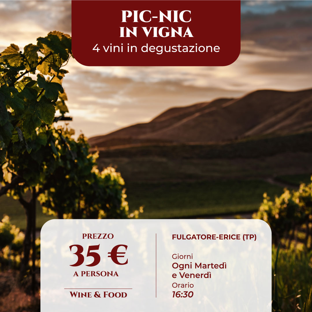 picnic_vigna